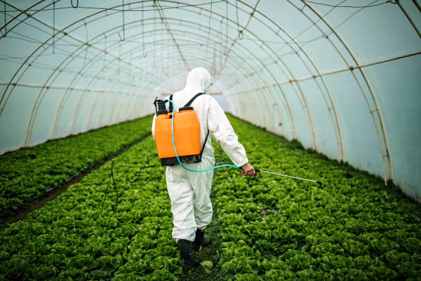 Best Best Pest Control Companies  in Michigan City, IN