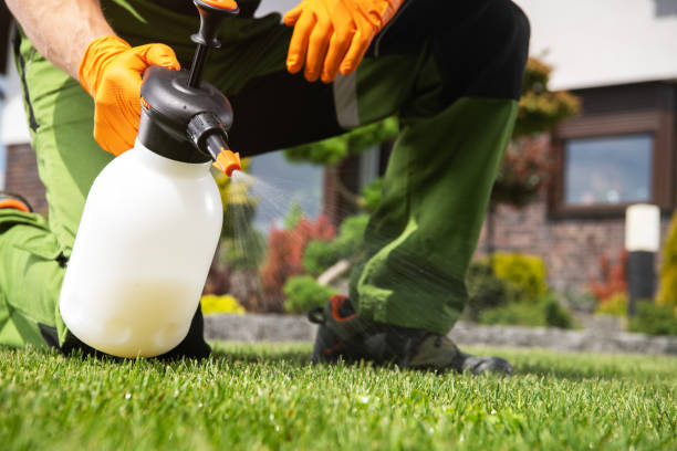 Best Cockroach Control Services  in Michigan City, IN