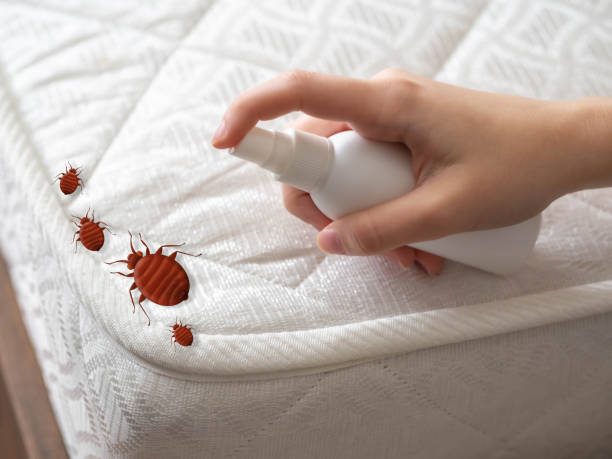 Best Wasp Removal Services  in Michigan City, IN